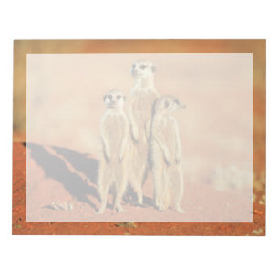 Bloc De Notas Animales de bebé más afectados 3 Meerkats