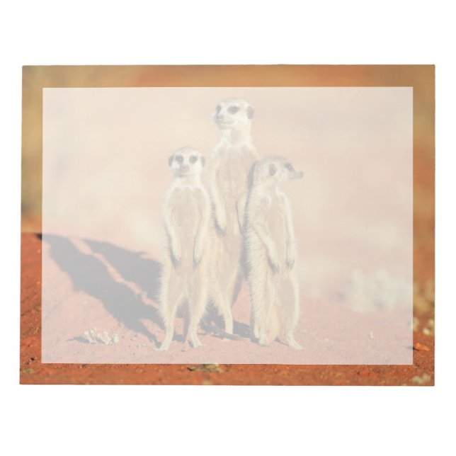 Bloc De Notas Animales de bebé más afectados | 3 Meerkats (Frente)