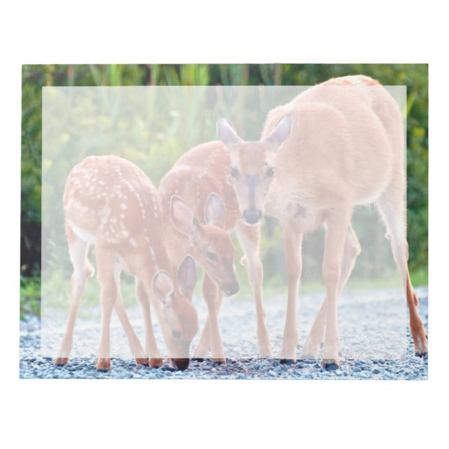 Bloc De Notas Animales de bebé más afectados | Amanecer con bebé (Frente)