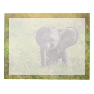 Bloc De Notas Animales de bebé más afectados Baby Elephant Ken