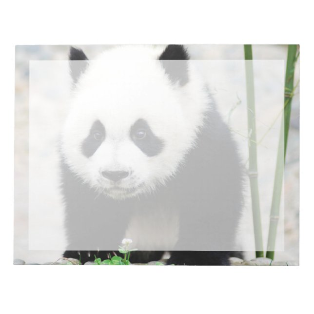 Bloc De Notas Animales de bebé más afectados | Baby Panda Bear (Frente)