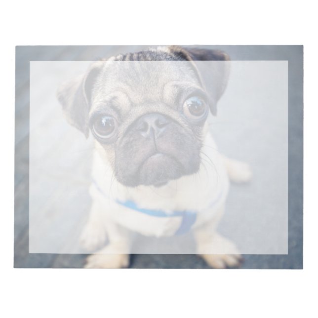 Bloc De Notas Animales de bebé más afectados | Baby Pug (Frente)