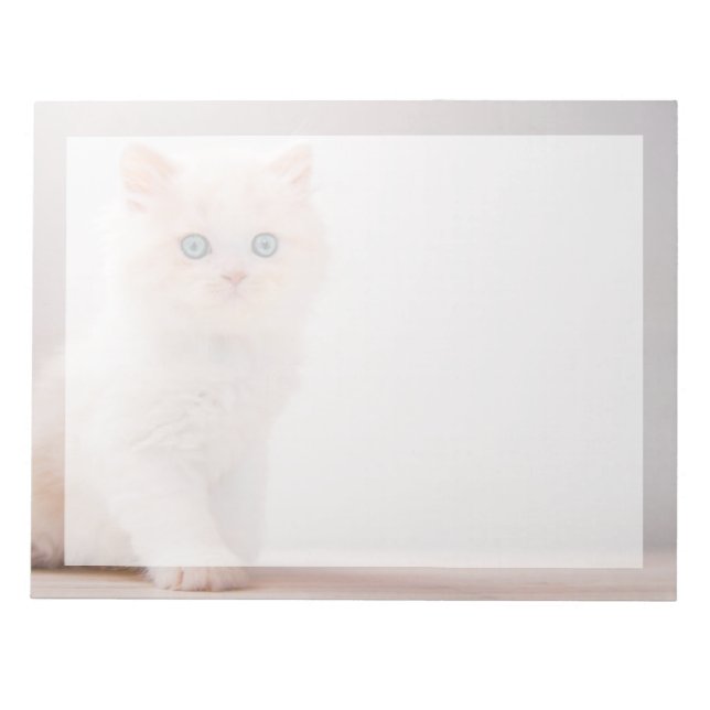 Bloc De Notas Animales de bebé más afectados | Blue Eye Kitten (Frente)