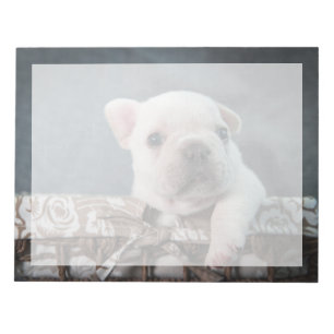 Bloc De Notas Animales de bebé más afectados Bulldog francés