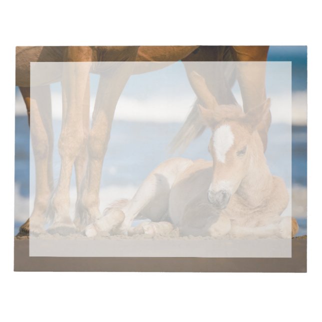 Bloc De Notas Animales de bebé más afectados | Caballo salvaje C (Frente)