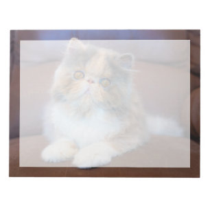 Bloc De Notas Animales de bebé más afectados Calico Persian Ki