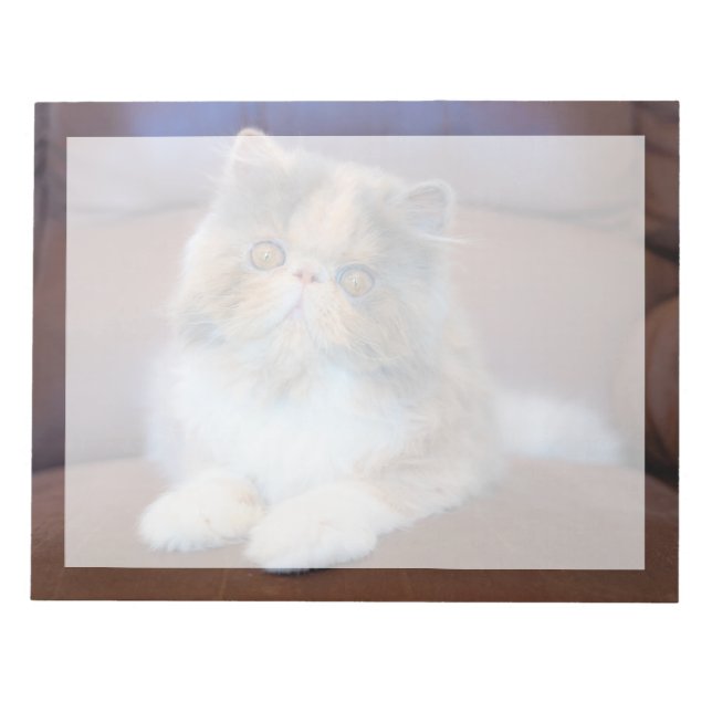 Bloc De Notas Animales de bebé más afectados | Calico Persian Ki (Frente)