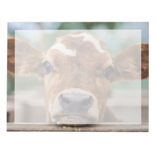 Bloc De Notas Animales de bebé más afectados Calvario de vaca