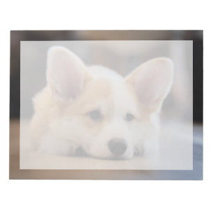 Bloc De Notas Animales de bebé más afectados Corgi Puppy solit