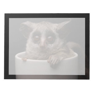 Bloc De Notas Animales de bebé más afectados Cute Bushbaby
