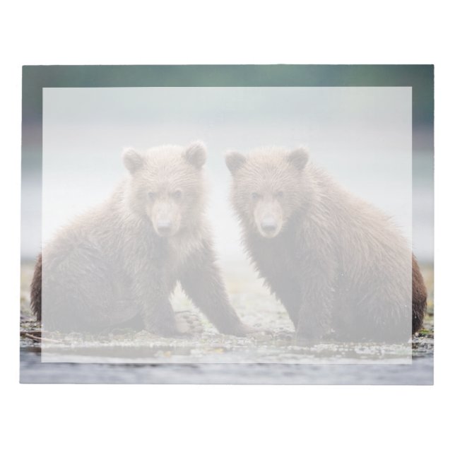 Bloc De Notas Animales de bebé más afectados | Dos Cubos de oso (Frente)