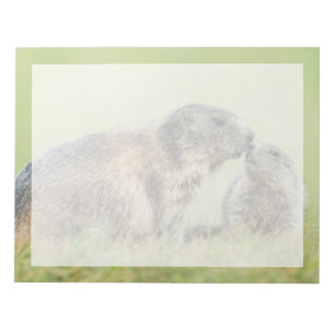 Bloc De Notas Animales de bebé más afectados Familia de marmot