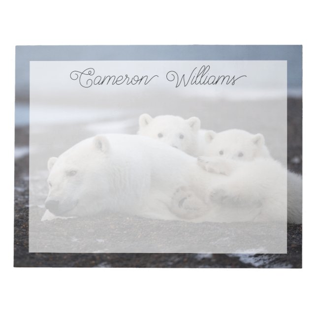 Bloc De Notas Animales de bebé más afectados | Familia Oso Polar (Frente)