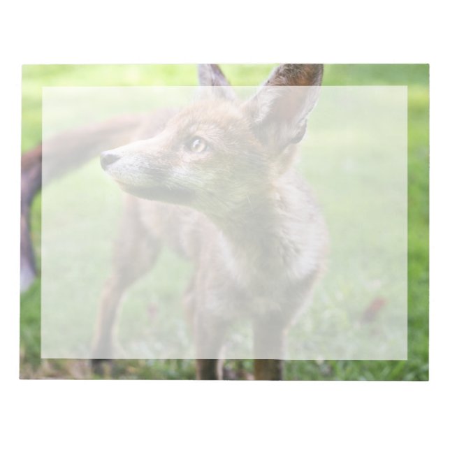 Bloc De Notas Animales de bebé más afectados | Fox urbana (Frente)