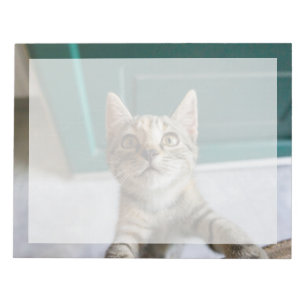 Bloc De Notas Animales de bebé más afectados Gatita Cuta Tabby