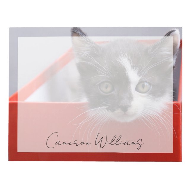 Bloc De Notas Animales de bebé más afectados | Gatito blanco y n (Frente)