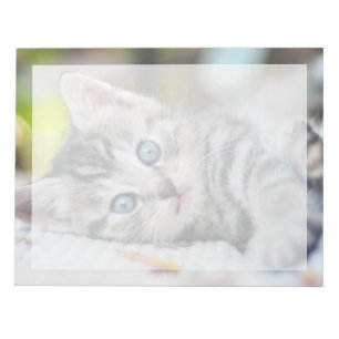 Bloc De Notas Animales de bebé más afectados Gatito Con Ojos A