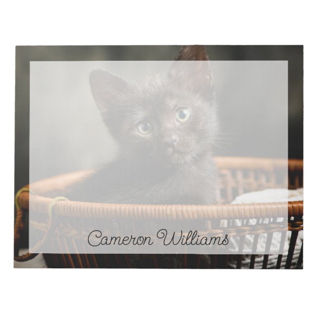 Bloc De Notas Animales de bebé más afectados | Gatito en canasta (Frente)