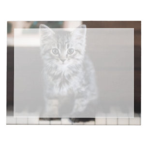 Bloc De Notas Animales de bebé más afectados   Gatito en llaves 