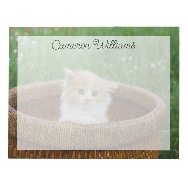 Bloc De Notas Animales de bebé más afectados | Gatito teñido azu (Frente)