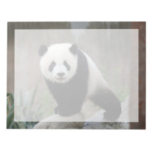 Bloc De Notas Animales de bebé más afectados Gigante Panda Bab