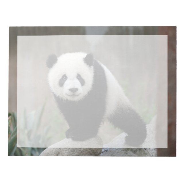Bloc De Notas Animales de bebé más afectados | Gigante Panda Bab (Frente)