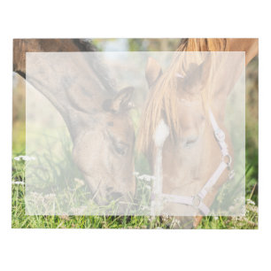 Bloc De Notas Animales de bebé más afectados Horse Colt