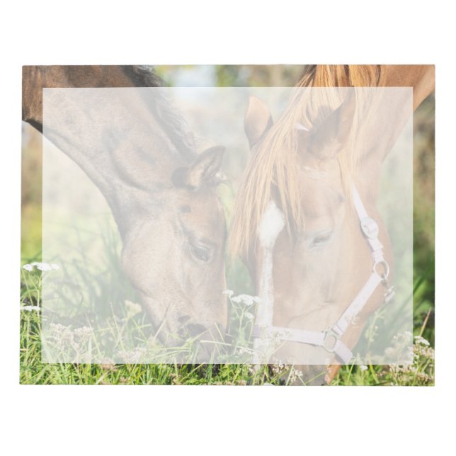 Bloc De Notas Animales de bebé más afectados | Horse Colt (Frente)