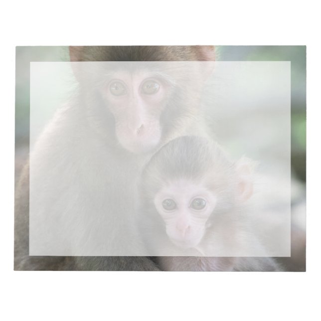 Bloc De Notas Animales de bebé más afectados | Monos japoneses (Frente)