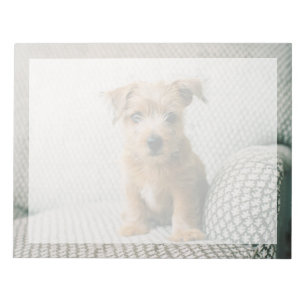 Bloc De Notas Animales de bebé más afectados   Norfolk Terrier P