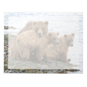 Bloc De Notas Animales de bebé más afectados Oso y Cubos