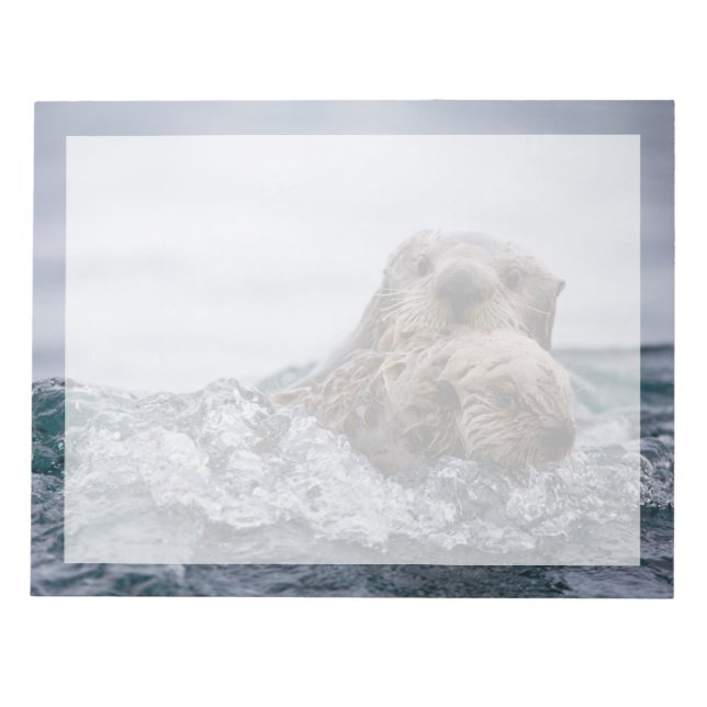 Bloc De Notas Animales de bebé más afectados | Otter Baby & Moth (Frente)