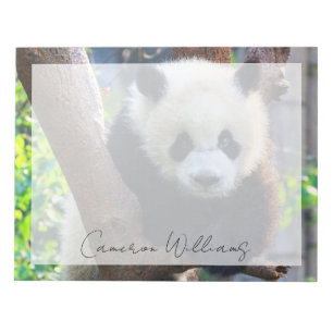 Bloc De Notas Animales de bebé más afectados   Panda Cub gigante