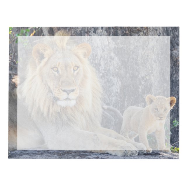 Bloc De Notas Animales de bebé más afectados | Papá León y Cub (Frente)
