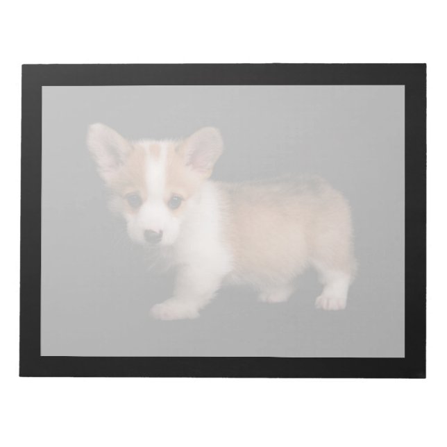 Bloc De Notas Animales de bebé más afectados | Pequeño Corgi (Frente)