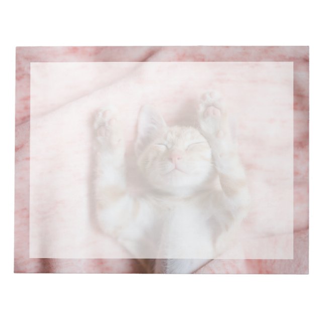 Bloc De Notas Animales de bebé más afectados | Pequeño Naranja a (Frente)