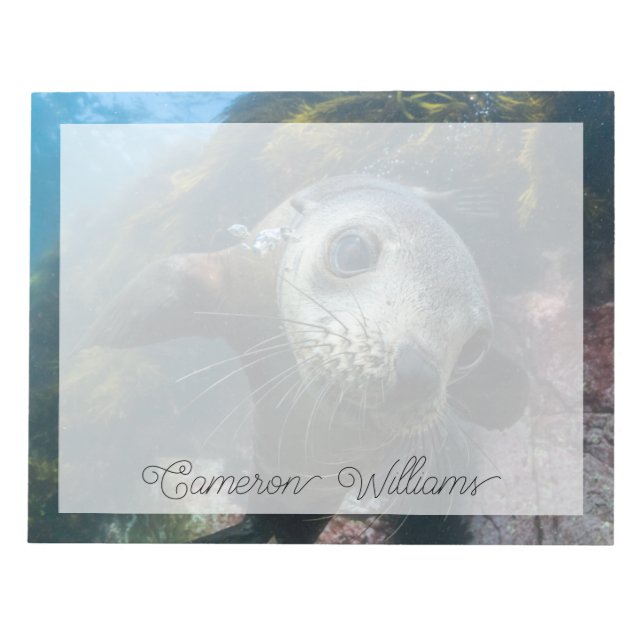 Bloc De Notas Animales de bebé más afectados | Sello subacuático (Frente)