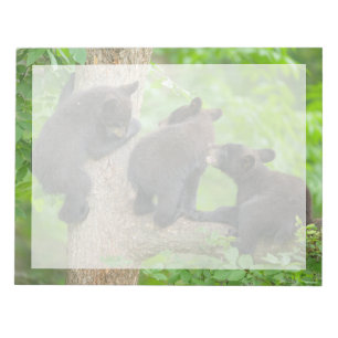 Bloc De Notas Animales de bebé más afectados Tres jóvenes osez