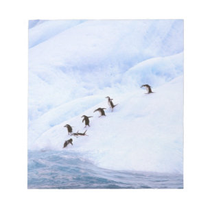 Bloc De Notas Antártida, Península Antártica. Chinstrap