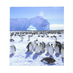 Bloc De Notas Antártida, Península Antártica, Mar de Weddell, 5