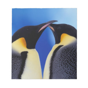 Bloc De Notas Antártida, Pingüinos Emperadores