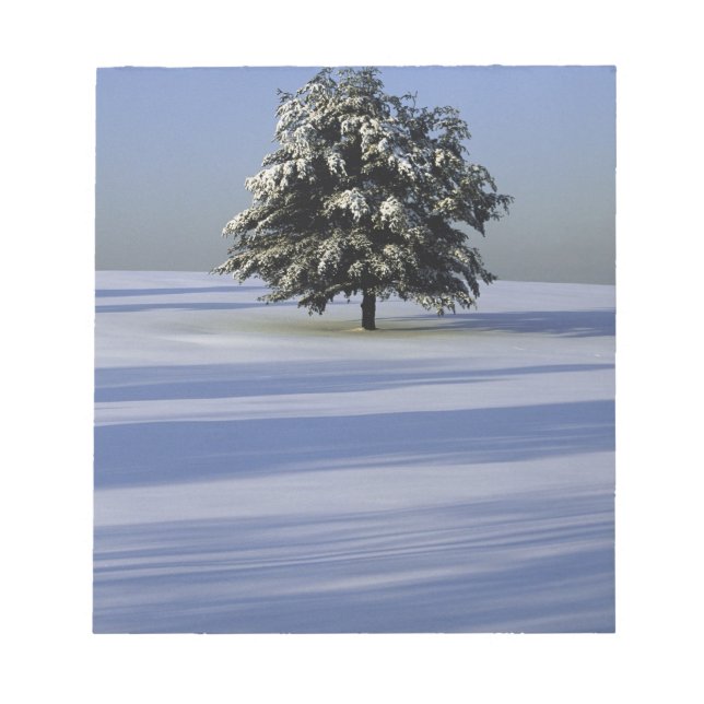 Bloc De Notas Árbol en el paisaje cubierto de nieve (Frente)