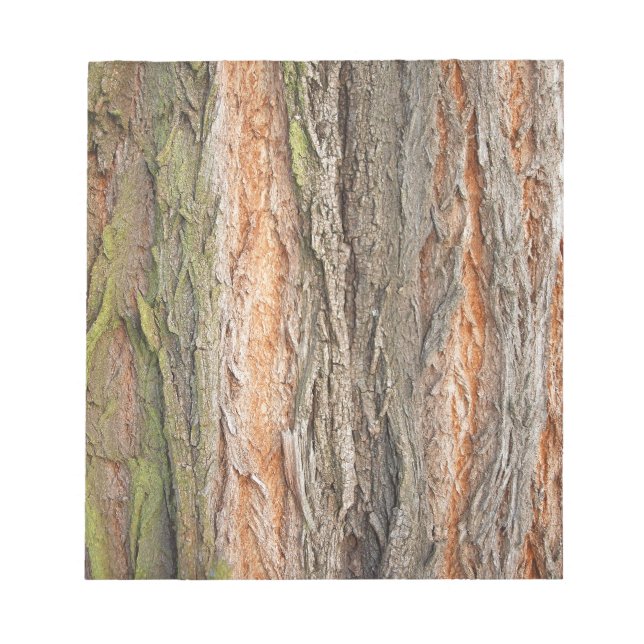 Bloc De Notas árbol viejo (Frente)