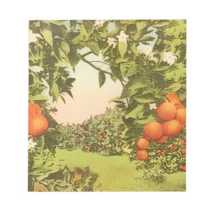 Bloc De Notas Arboleda de Naranja Vintage