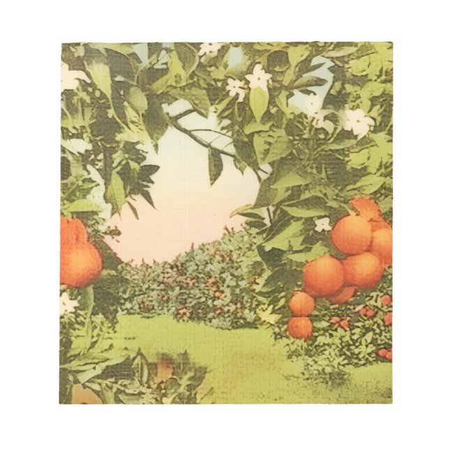 Bloc De Notas Arboleda de Naranja Vintage (Frente)