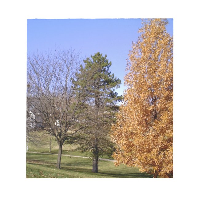 Bloc De Notas Árboles caídos (Frente)