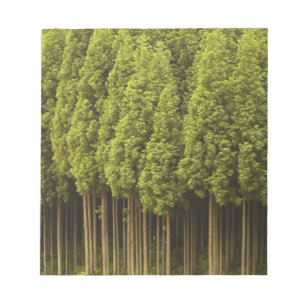 Bloc De Notas Árboles de cedro de Koya Sugi