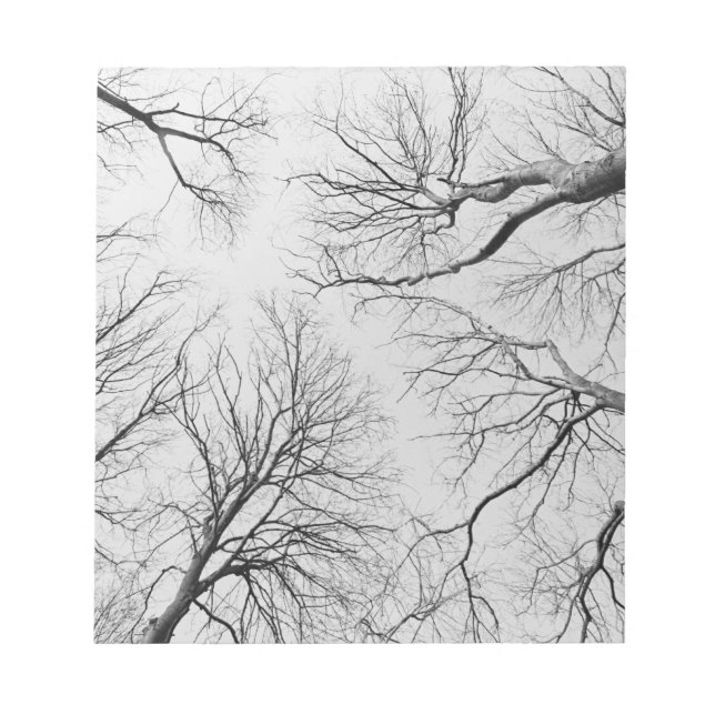 Bloc De Notas Árboles sin plomo en la madera de Thiepval (Frente)