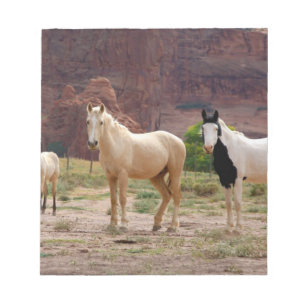 Bloc De Notas Arizona, Reserva de indios navajos, Chinle,