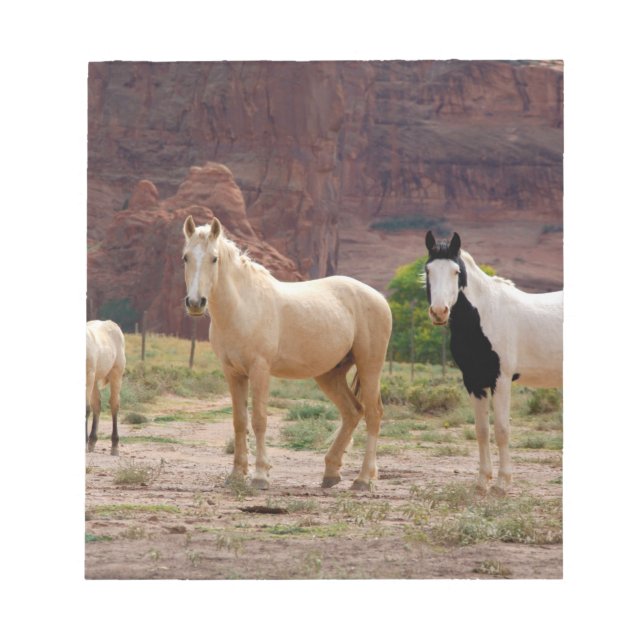 Bloc De Notas Arizona, Reserva de indios navajos, Chinle, (Frente)